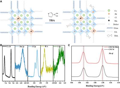 Thiophene Derivatives as Ligands for Highly Luminescent and Stable Manganese-Doped CsPbCl3 Nanocrystals